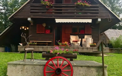 Cabin style cottage in Zatrnik